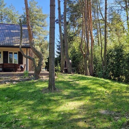 Domek Nad Narwia Dlugosiodlo Εξωτερικό φωτογραφία