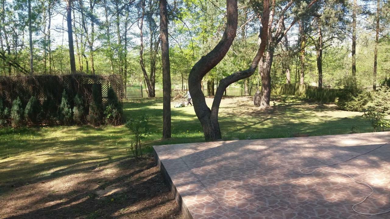 Domek Nad Narwia Dlugosiodlo Εξωτερικό φωτογραφία